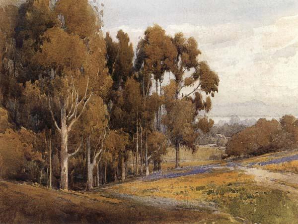 unknow artist A Grove of Eucalyptus in Spring